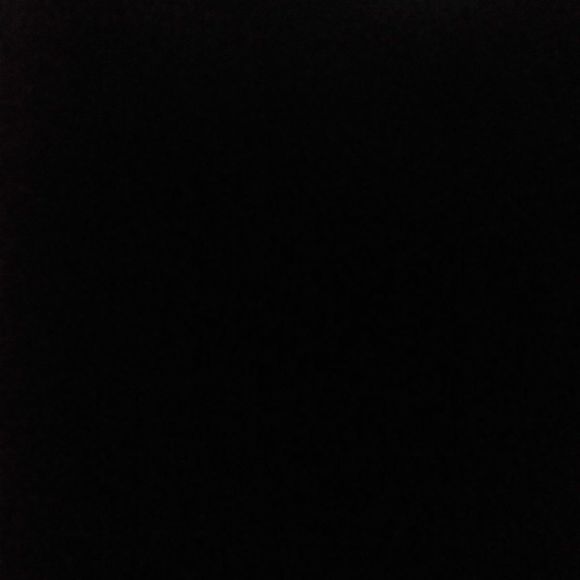 Meet your Posher, Dustybun - Picture 1 of 1